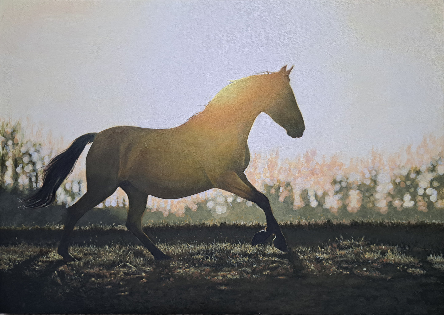 Shadow Dance | A4 | Oils on board